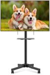 XINLEI Mobile TV Stand on Wheels wi