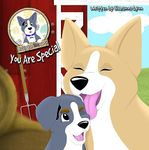 You Are Special: A picture book about embracing what makes you different (Buddy the Blue Corgi 1)