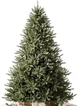 Balsam Hill 6.5ft Unlit Classic Blu