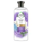 Herbal Essences bio:renew Rosemary and Herbs SHAMPOO, 400ml, No Parabens No Colourants