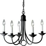 Progress Lighting P4008-31 5 Light Chandelier, Textured Black