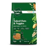 Is Vegan Dog Food Healthy