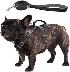 Wuffley Escape Proof Dog Harness and Leash Set, Lightweight Dog Harness with Lift and Assist Handle, No Pull Reflective Pet Vest for Small Medium Dogs, Ideal for Puppy Walking and Training (Black, M)