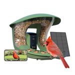Birdfy Upgraded Bird Feeder Camera, Bird Watching Camera: Auto Identify, Notify, Capture, Collect Bird Video, Smart Bird Feeder Outdoor Hanging, for Bird Lovers (Birdfy Feeder 2 Lite+Solar)