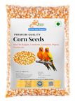 Shree JEE Dry Corn seeds (Maize 500g) Bird Food for Pigeons, Squirrel, Garden Animals, Doves, Canaries, Finches, Waxbills, Budgies, Lovebirds, Cockatiels