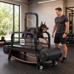 PawArmor Curved Dog Treadmill with 