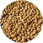 Soya Bean Seeds (Soybeans) - 1Kg