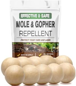 LEBMP Mole