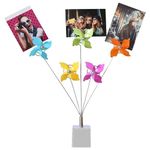 Mollytek Desktop Photo Holder with Clips Postcard Gift Card Picture Display Stand Decor Photo Tree Stand Holder for Table Desk Display with 4/5 Colors Pinwheels Photo Metal Clips(Grey)