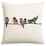 RABUSOFA Watercolor Outdoor Birds Pillows Decorative Throw Pillows 18x18,Hand-Painted Oil Painting Rustic Birds Lumbar Pillow Cases,Cute Colorfull Spring Decorations for Home Couch Sofa