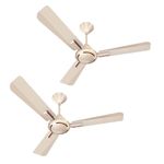 Havells 1200mm Ambrose ES Ceiling Fan|Premium Finish, Decorative Fan, Elegant Look, High Air Delivery, Energy Saving, 100% Pure Copper Motor|2 Year Warranty by Brand|(Pack of 2, Gold Mist Wood) 1 Star