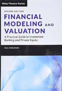 Financial Modeling and Valuation: A Practical Guide to Investment Banking and Private Equity (Wiley Finance)