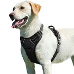 Eagloo Dog Harness No Pull, Walking Pet Harness with 2 Metal Rings and Handle, Adjustable Reflective Breathable Oxford Soft Vest Easy Control Harness for Small Medium Large Dogs, Black, L