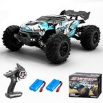 Teeggi 16102Pro 1:16 Remote Control Car, 2.4G Brushless Motor RC High Speed Off-road Drift Racing Car, 70km/h 4WD Off-road Buggy Toy Car, 2 Batteries(Blue)