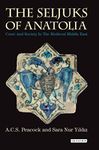 The Seljuks of Anatolia: Court and Society in the Medieval Middle East