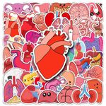 50 Pcs Human Body Organs Stickers Funny Human Biology Sticker for Water Bottle Laptop Skateboard Computer Luggage Scrapbook Car Helmet Bike,Vinyl Waterproof Sticker for Adults Doctors Nurses