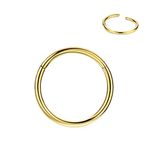 FANSING Nose Rings 18 Gauge 14k Gold Nose Ring Hoop 18g Cartilage Earring Helix Earring Tragus Earrings Daith Earrings Rook Earrings Nose Piercing Jewelry Septum Clicker 7mm Nose Hoop Septum Ring