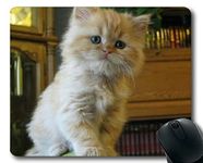 Gaming mouse mat,Cat mouse pad,Mouse mat for Computer cat346