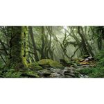 AWERT Foggy Forest Terrarium Background Stream Green Huge Tree Reptile Habitat Background Tropical Rainforest Aquarium Background 36x18 inches Durable Polyester Background