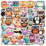 60 Packs Owl Stickers Water Bottles Laptop Phone Motorcycle Computer Guitar Skateboard Hydroflasks Owl Vinyl Sticker Waterproof Aesthetic Trendy Decals for Teens Girls Adults