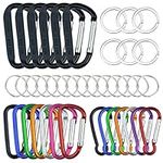 20 Pack Carabiners Clips with Keych
