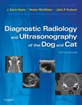 Radiology Ultrasonography