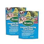 Scotts Evergreen, Flowering Tree & 