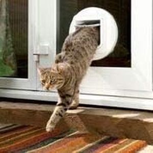 SureFlap Microchip Cat Flap – White Pet Door