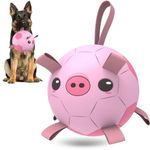 HETOO Dog Toys Dog Football with Straps, Interactive Dog Toys for Tug of War, Puppy Birthday Gifts, Dog Tug Toy, Dog Water Toy, Durable Dog Balls for Medium & Large Dog - Pink Pig（8 Inch）