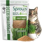 Nature Jims Sprouts Wheatgrass Seeds - 100% Organic Wheat Grass Seed for Sprouting - Cat Grass Planter Seeds, Rich in Vitamins, Fiber and Minerals - Non-GMO, Healthy Wheatgrass Sprout Growing Seed