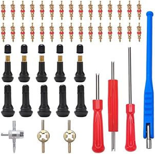 VooGenzek 47 Pièces TR413 Demonte Valve de Pneu Outil, avec Valve Souches Puller, Noyaux de Valve en Cuivre Pur, Extracteur de Noyau de à Unique et Double, TR413 Valve Enfichable, pour Voiture, Moto
