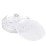 MATANA 60 Clear Hard Plastic Dinner Plates, 25cm / 10 Inch - Elegant & Reusable Party Plates for Weddings, Birthdays, Picnic, BBQ, Parties