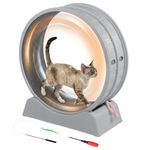 Outopee Cat Wheel for Indoor Cats, 31.5-inch Plastic Cat Exercise Running Treadmill with Detachable Carpet and Safety Lock for Pet's Fitness and Health, Grey