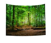 Green Misty Forest Tapestry Wall Hanging Nature Landscape Tapestry Sunshine Through Tree Tapestries for Bedroom Living Room Dorm Decor