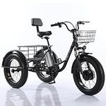 20 Inch Fat Tire Trike-3 Speed Electric Three Wheel Tricycle- Folding Trike-500w 48v/12ah Removable Battery, Seniors Motorized Trike with Basket