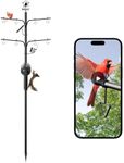 NETVUE by Birdfy Smart Bird Feeder 