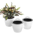 ORIMERC 3 Pack Hanging Planter Pots Self Watering Vertical Garden Wall Mount Window Hang Round Plastic Container Indoor Outdoor for Plants Flowers Succulent Kitchen Living Herbs Holder White Large