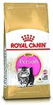 Royal Canin Kitten Persian Pellet Cat Food, Meat Flavor, 4kg