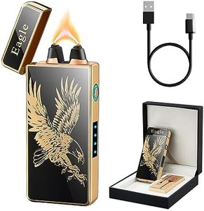 Electric Lighters USB Rechargeable Windproof Flameless Lighter Arc Plasma Lighter with LED Battery Indicator (Eagle)