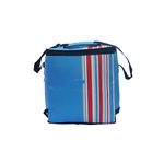 California Innovations 24 Liters Insulated Portable Travel Chiller Cooler Bag (Blue)