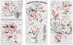 Thymeless Designs Rub on Transfers for Crafts and Furniture | 3 Design Sheets 6”x 12” | Home Decor Transfers | Furniture and Craft Decals | by (French Market Peonies)