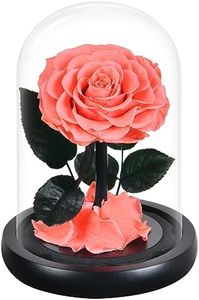 Rose Flower Gifts for Women,Mothers Day Flowers Gifts for Mom Wife from Daughter Son Husband,Birthday Gifts for Women Best Friend Her Girlfriend,Glass Rose Grandma Mom Gifts for Mothers Day(Pink)