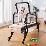 Albott Dog Treadmill for Large & Me