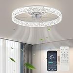 Fszdorj 20‘’ Ceiling Fan with Light