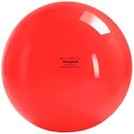 Gymnic Megaball: Group Activity Fit