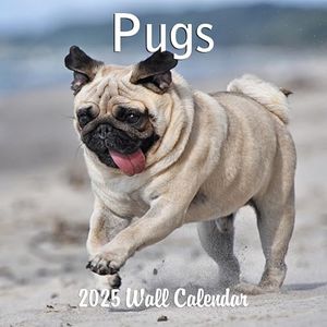 2025 Pugs 