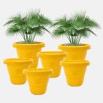 YUCCABE ITALIA SHERA RD 12 INCH Plastic Flower Pots Set of 6 Pcs Round Shape Gamle Planters for Outdoor and Indoor Garden Plastic Pots for Home and Balcony (Yellow)