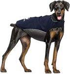 IREENUO Dog Raincoat, 100% Waterproof Dog Warm Jacket for Fall Winter, Rainproof Coat with Adjustable Velcro & Reflective Stripes for Medium Large Dogs (XL, Blue)