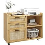 Filing Cabinet for Home Office, 3 D