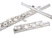 Glory HAND-ENGRAVED SILVER PLATED HIGH GRADE FLUTE 17 Hole OPEN/CLOSED C Flute With Case, Tuning Rod and Cloth,Joint Grease and Gloves,HIGH GRADE HAND ENGRAVED